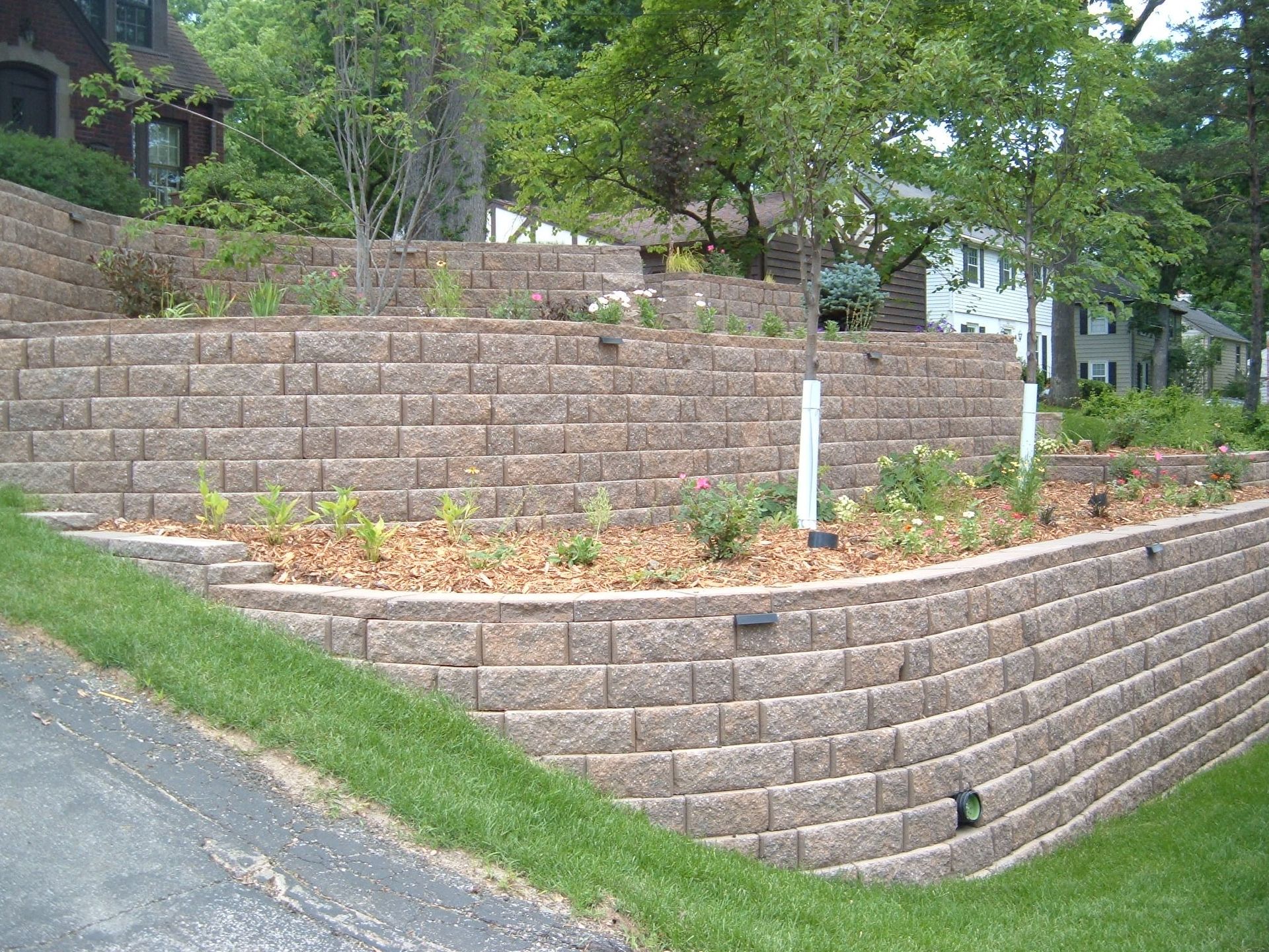 A brick wall with plants growing on it in front of a house.