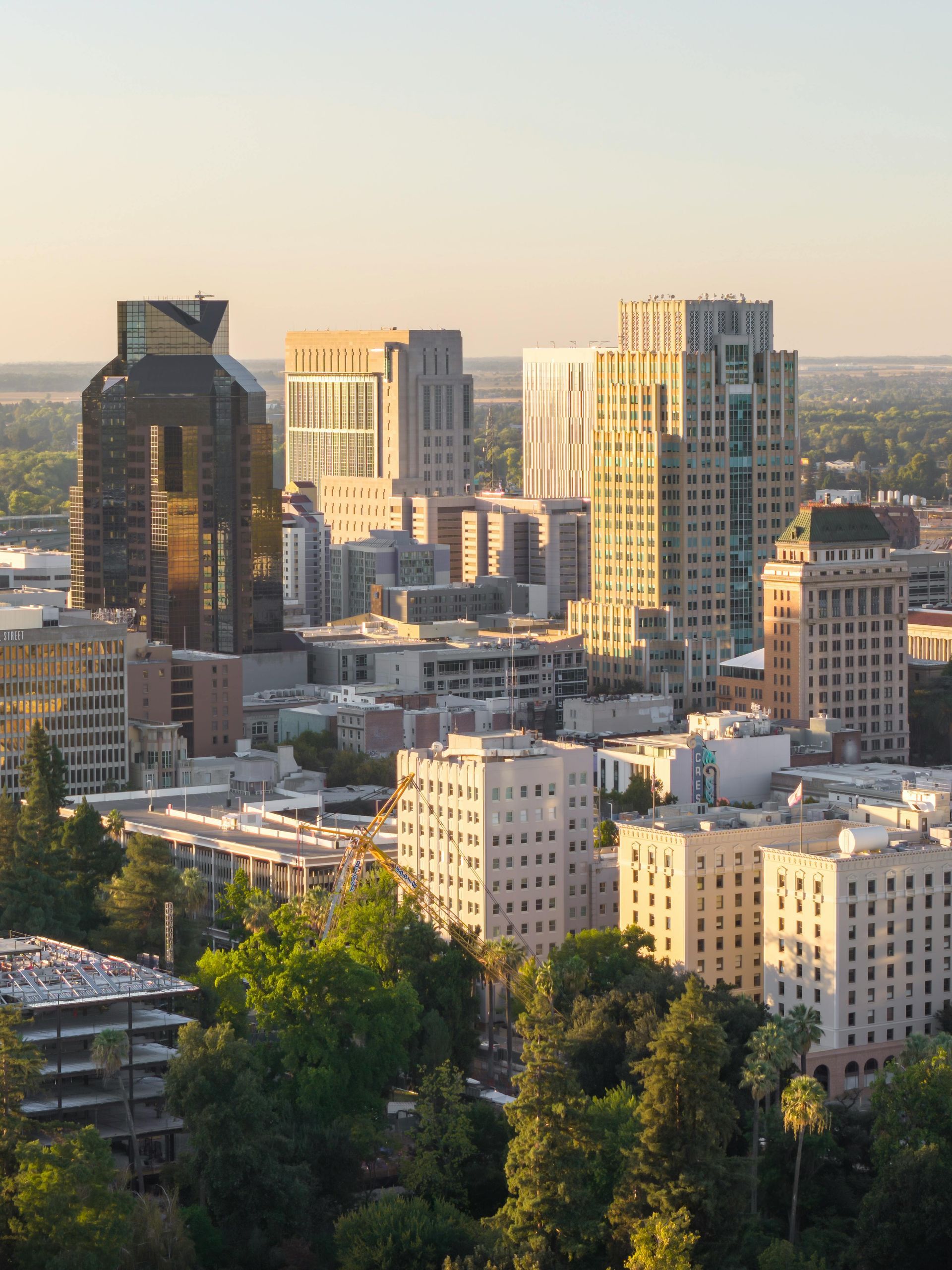 Menlo Park, CA skyline at sunset with tall office and apartment buildings above trees