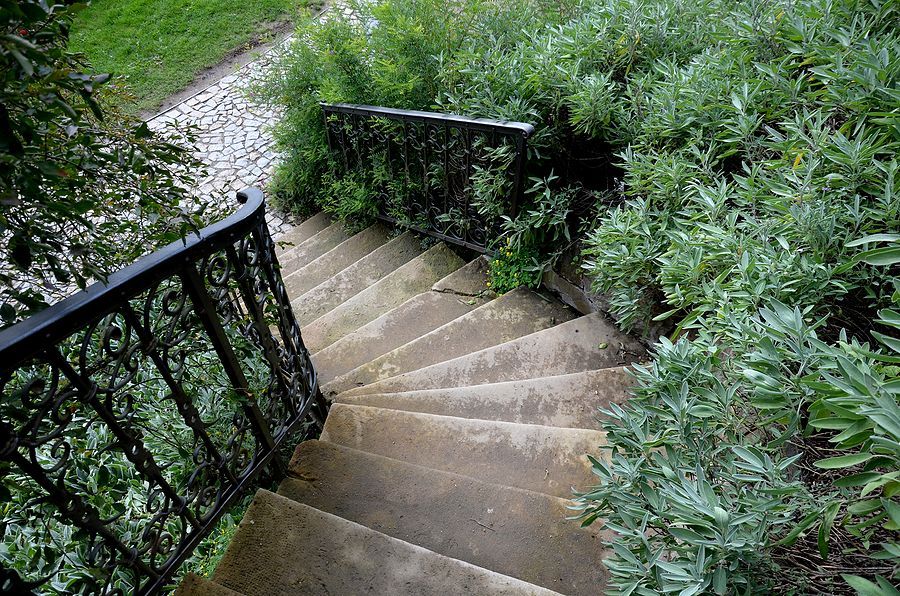 Path of steps reaching a garden full of blooms