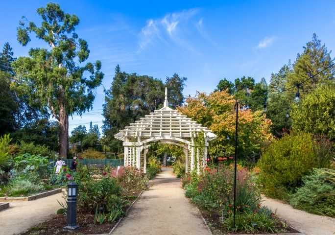 White pergola at the end of a gravel path through a rose garden, under a blue sky.