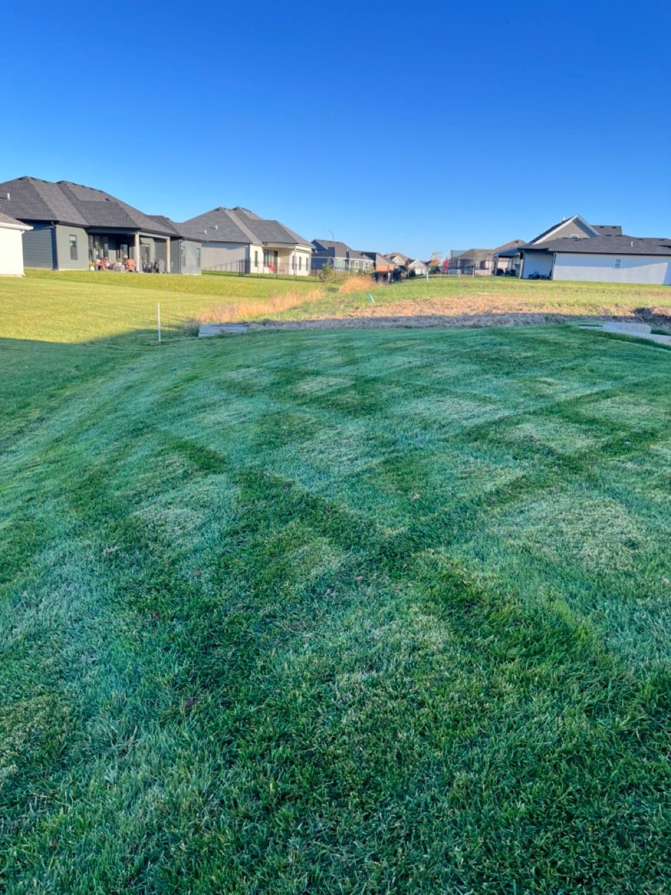 Enhance Your Backyard's Lawn With Davy's Lawn Maintenance, Columbia, MO's #1 Mowing Service