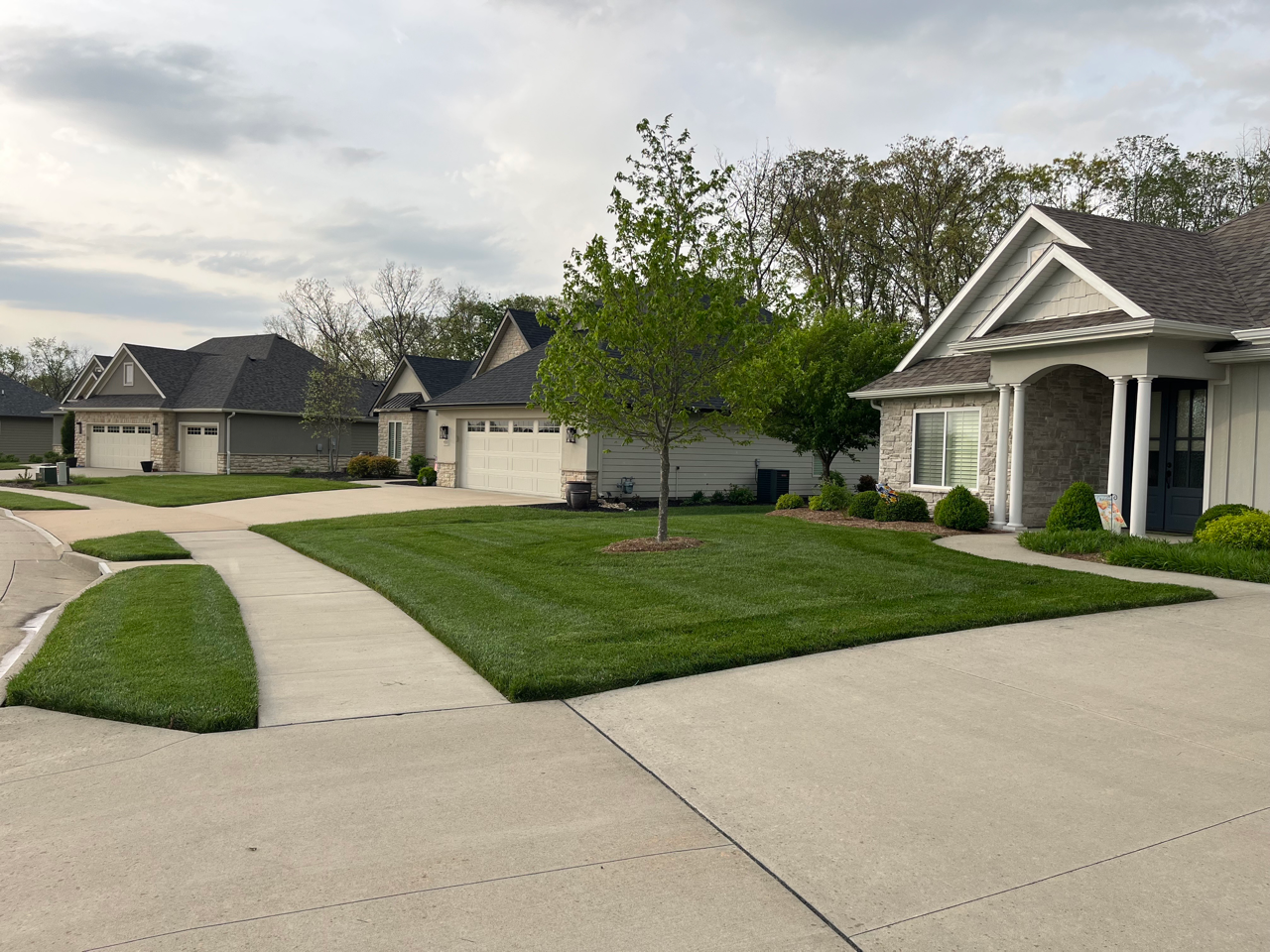 Davy's Lawn Maintenance Will Help You Year-Round With Dependable Lawn Care in Columbia, MO