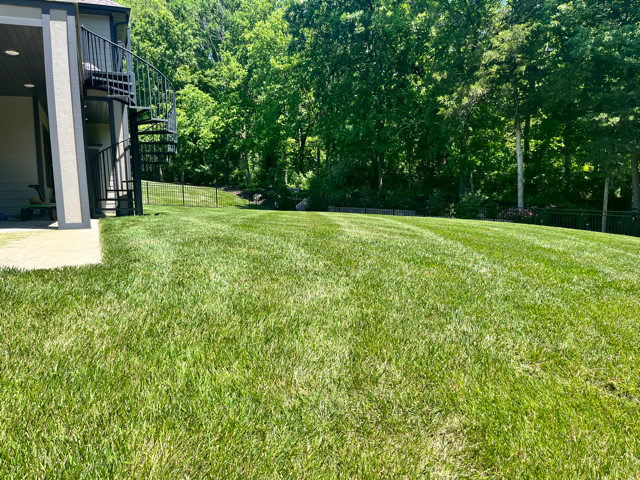 Davy's Lawn Maintenance Is a Pro at Mowing Grass Across All Terrains in Columbia, MO. Book Today!