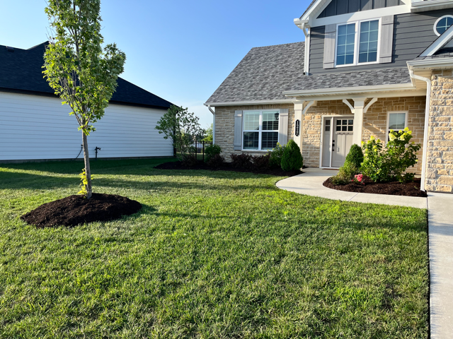 Achieve a Clean, Beautiful Front Yard With Residential Lawn Service From Davy's Lawn Maintenance
