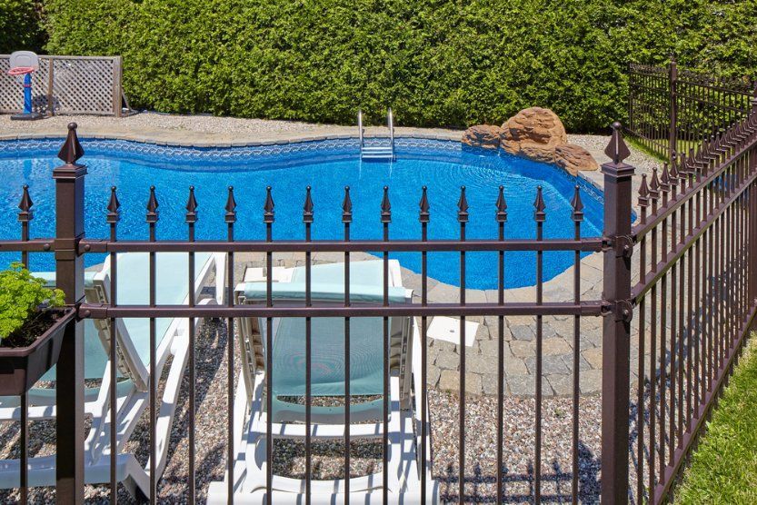 A Wrought Iron Fence Surrounds a Swimming Pool in A Backyard — Topline Aluminium Forster Pty Ltd in Smiths Lake, NSW