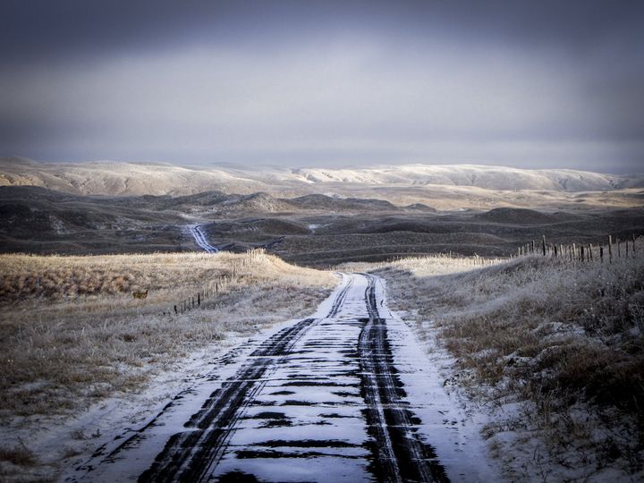 Secrets of the Sandhills  A Nebraska Sandhills Novel