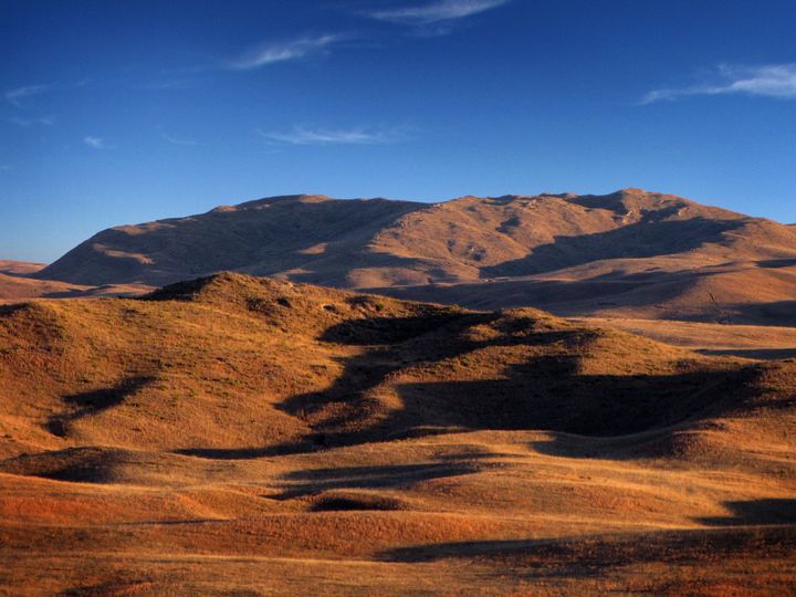 Secrets of the Sandhills  A Nebraska Sandhills Novel