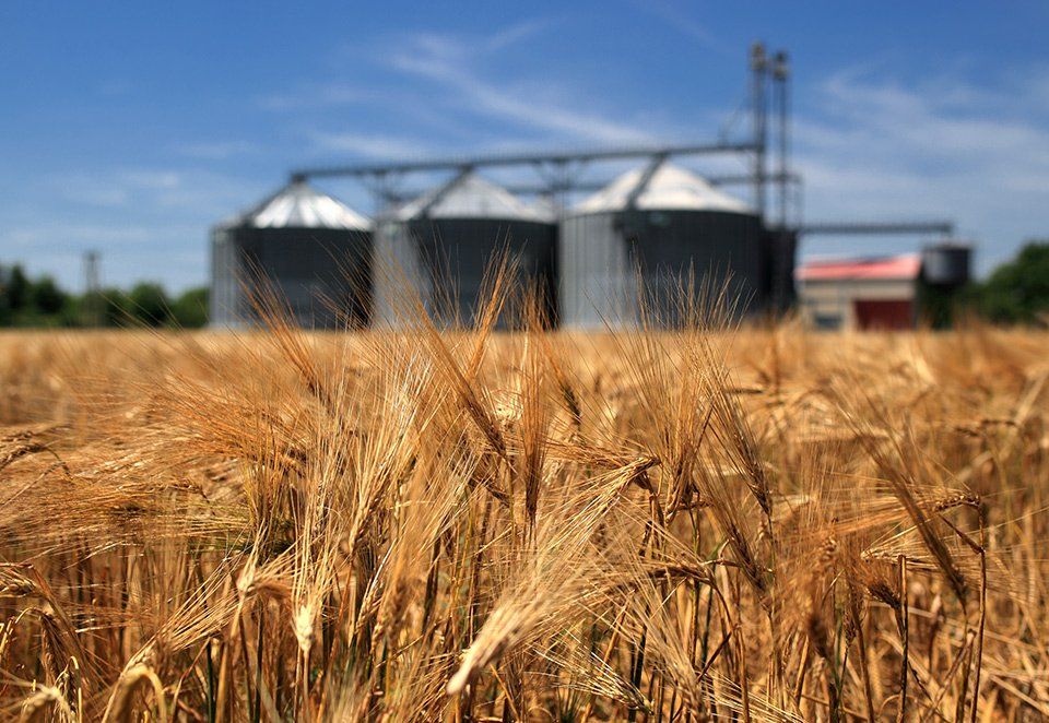 impianti per stoccaggio ed essiccazione cereali