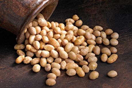 Roasted Soy Beans — East Coast — Whitetail Trail Mix