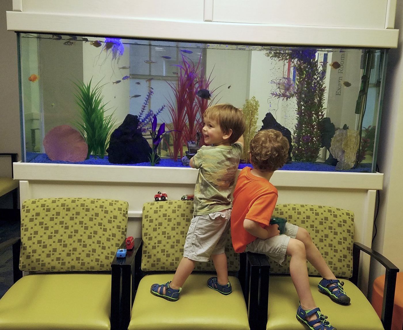 Two young boys looking at an aquarium in a waiting room