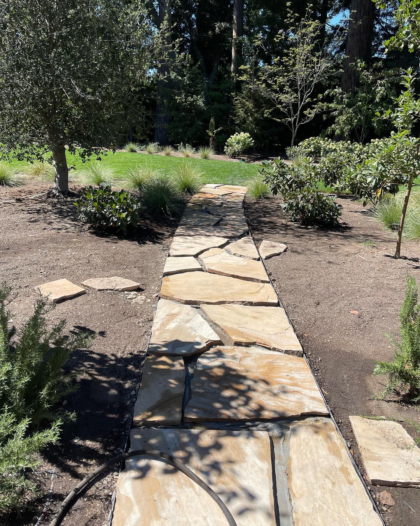A stone walkway in a garden surrounded by trees and bushes.