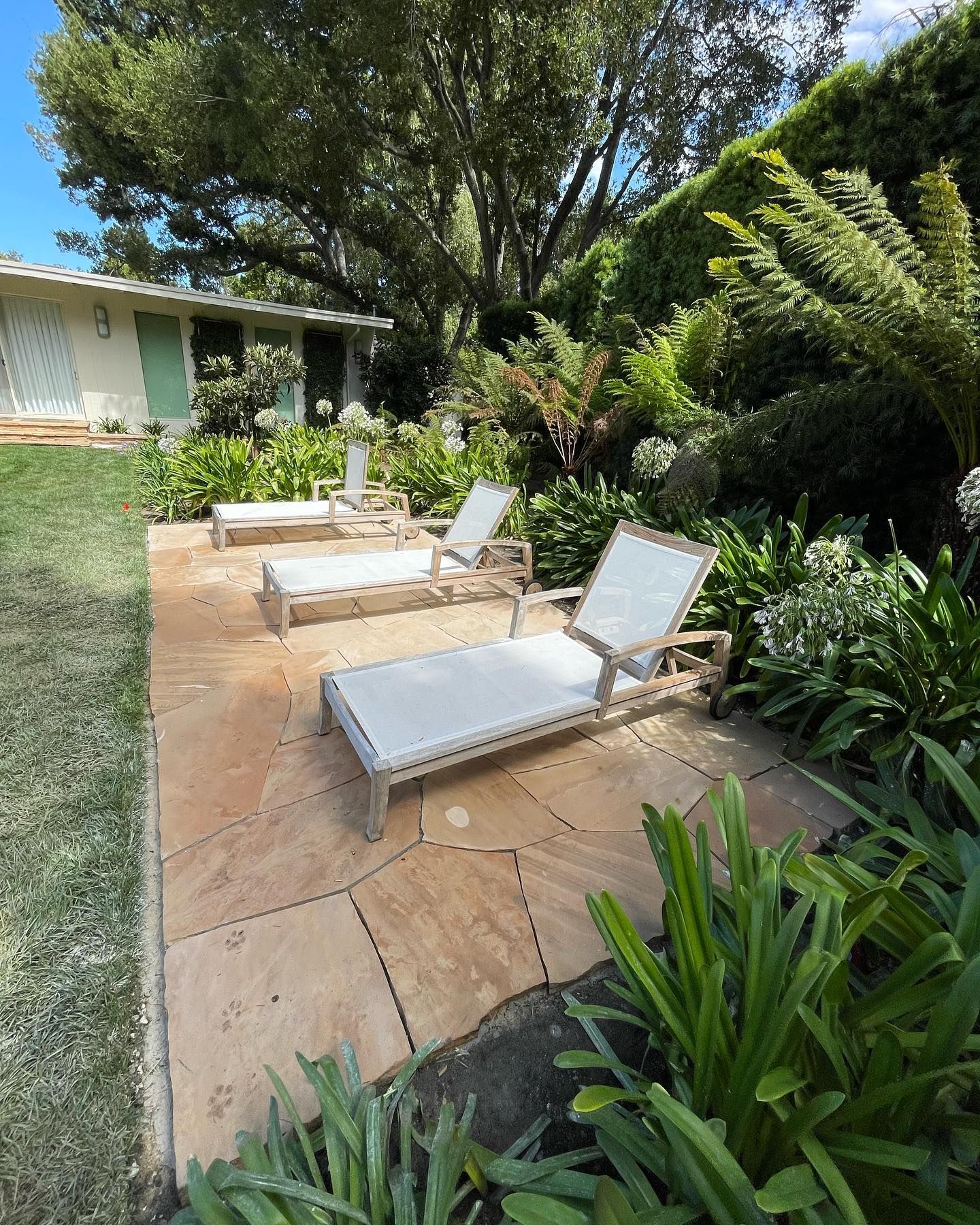 Two lounge chairs are sitting on a patio in a garden.