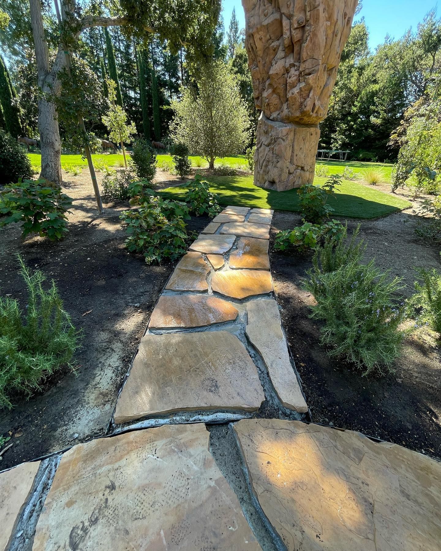A stone walkway in a garden with a tree in the background
