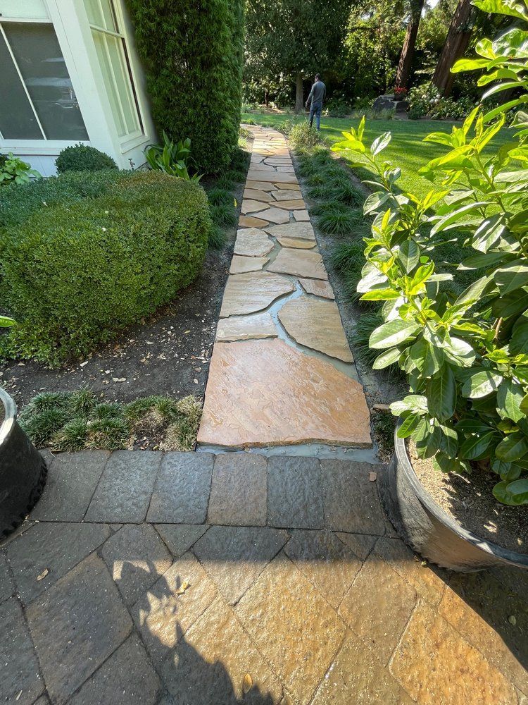 A stone walkway leading to a house in a garden.