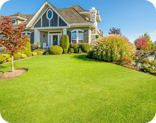 A large, well-manicured green lawn in front of a two-story house with manicured landscaping and blue sky.