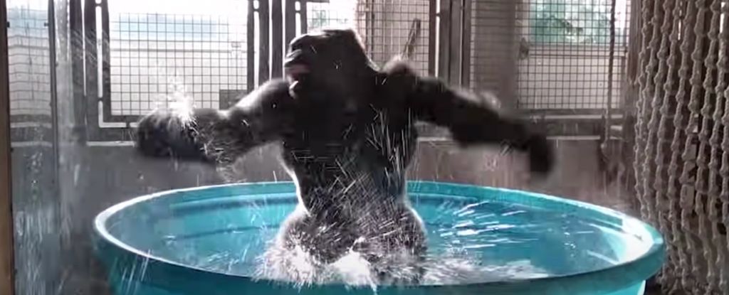 Tools And Chemicals — Raby, NSW — PoolTastic Pool & Spa