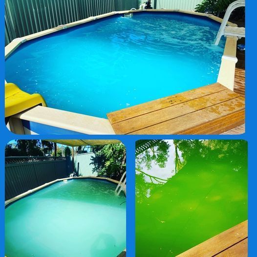 Clean And Green Water Pool — Raby, NSW — PoolTastic Pool & Spa