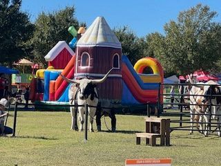 Longhorn cattle near a farm-themed inflatable bounce house at an outdoor event.