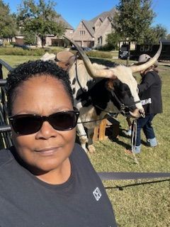 Woman in sunglasses poses with a longhorn. Person adjusts saddle in a grassy area with houses.