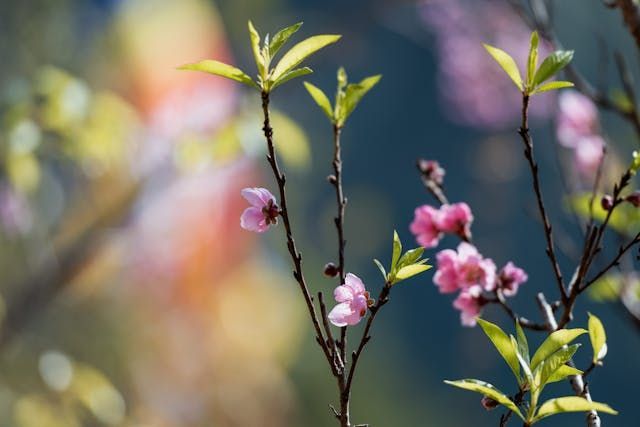 funeral homes Milton-Freewater, OR