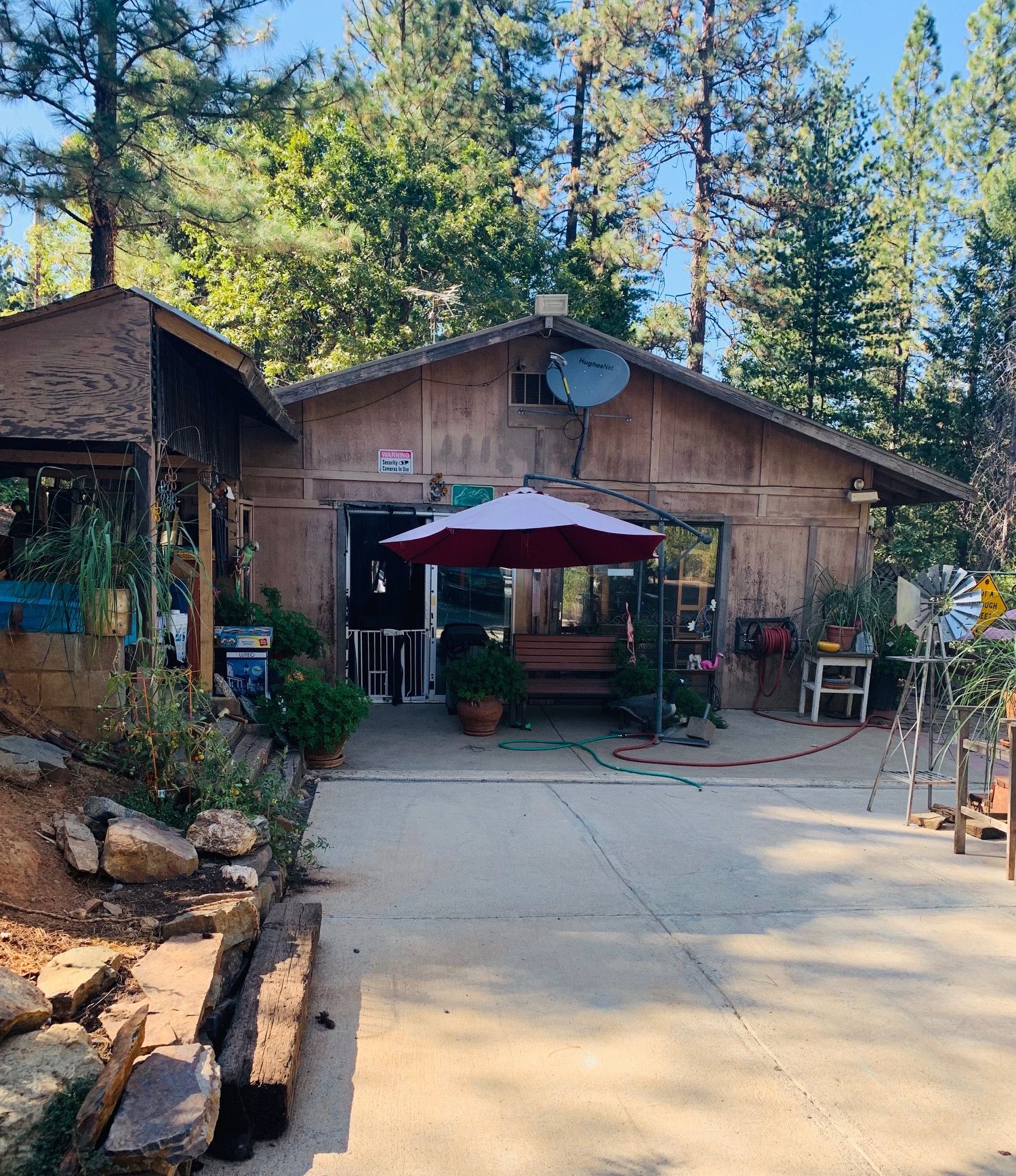 Wood-paneled building with a red umbrella, bench, plants, and trees in a forest setting.