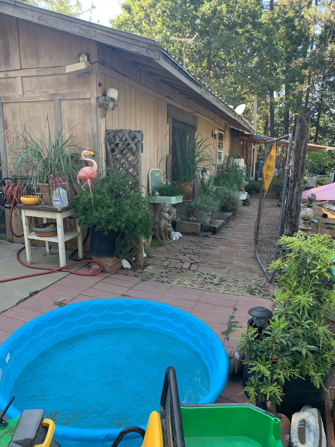 Backyard with potted plants, a small pool, and a building with a tan exterior.