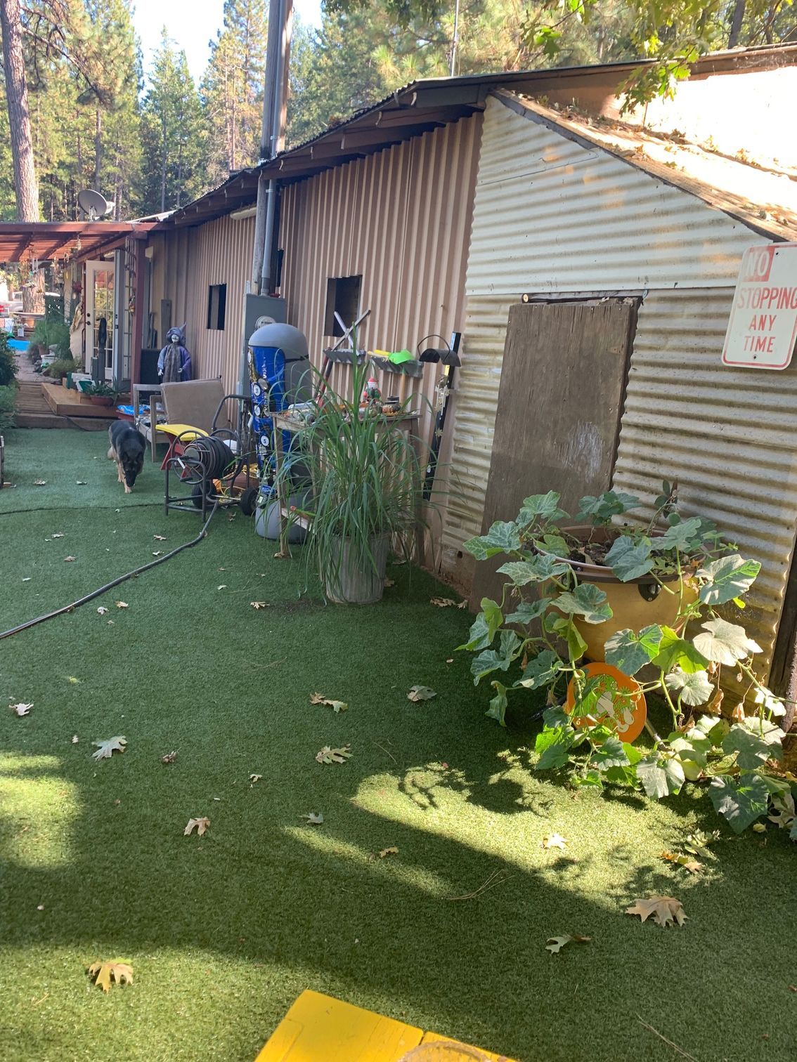 Building with corrugated metal siding, green turf yard, plants, and miscellaneous objects.