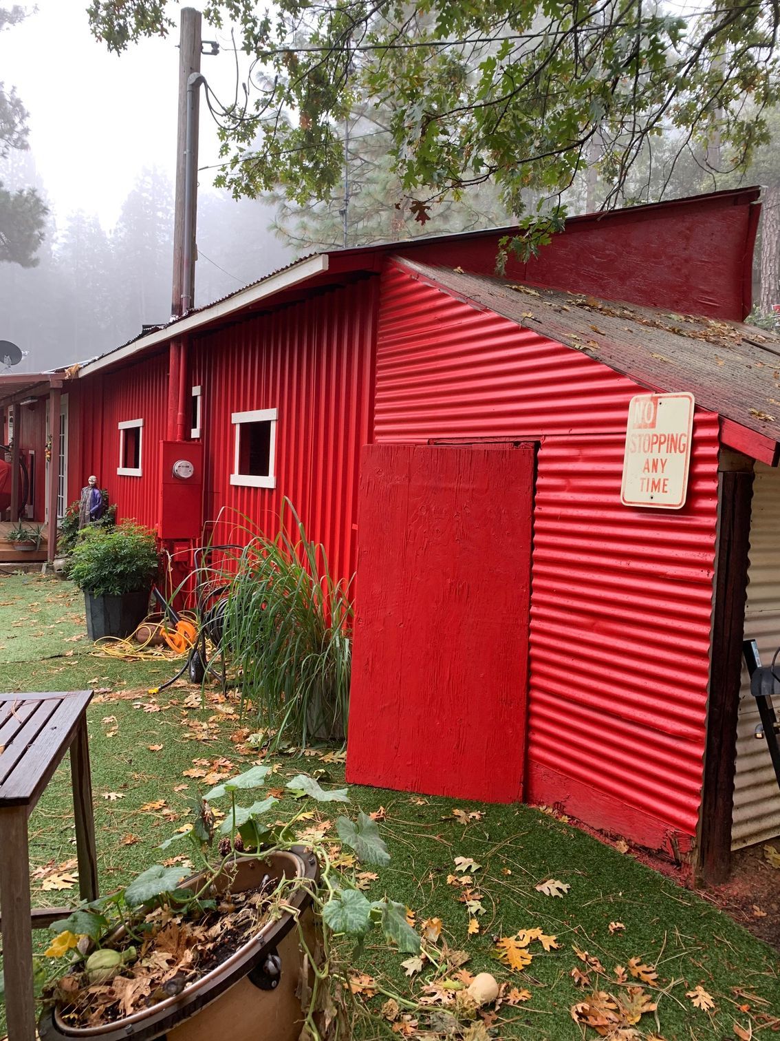 Red building with corrugated metal siding, red door, and white-framed windows on a grassy lawn with fallen leaves.