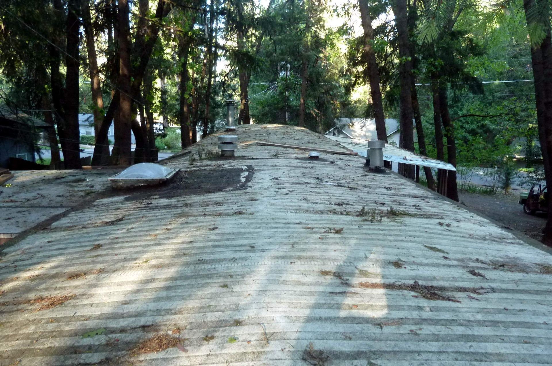 A long, weathered metal roof with debris, surrounded by tall trees in a forest setting.