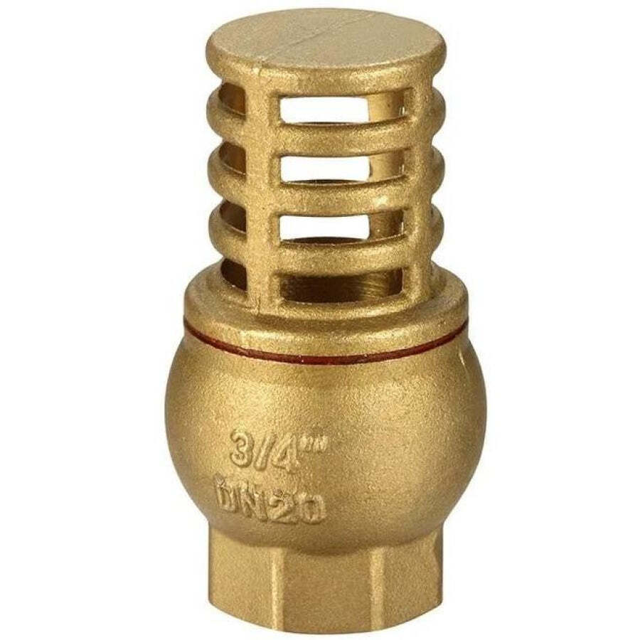 Brass foot valve with a cylindrical strainer cage and a 3/4