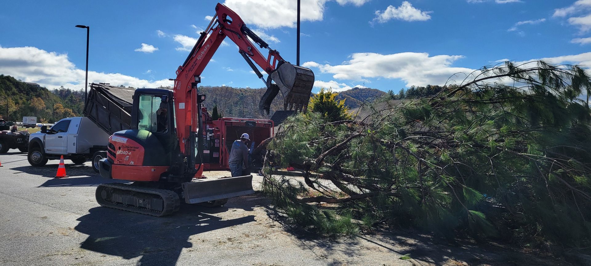 Excavator, CAT brand, lifting a large tree trunk amidst cut branches in a wooded area.