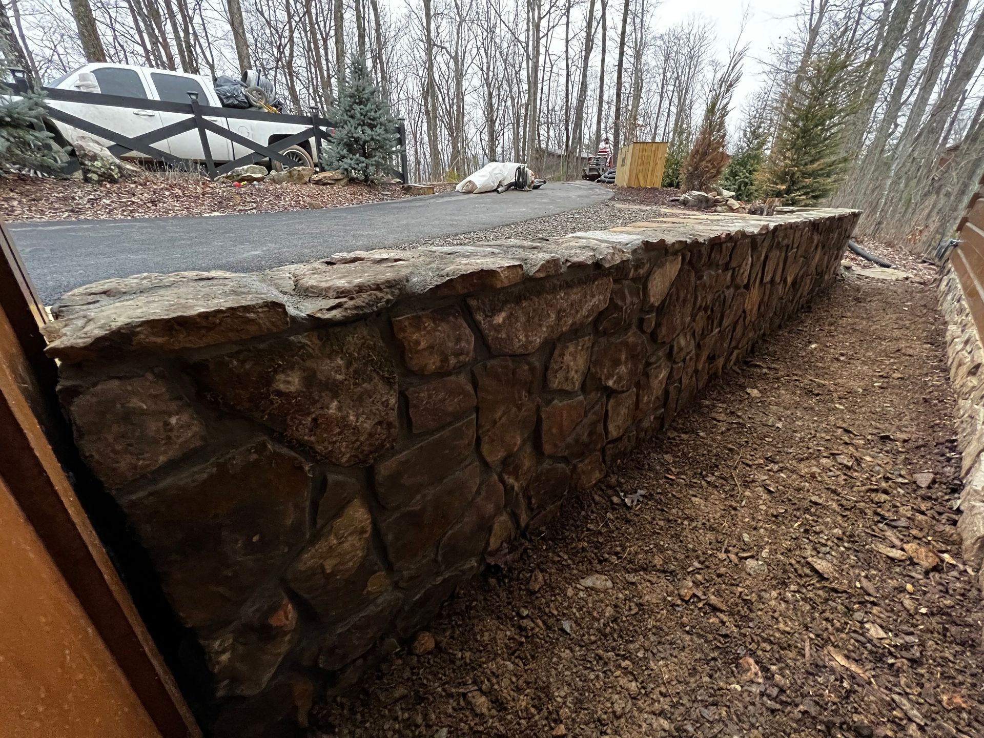 A stone wall in the middle of a forest