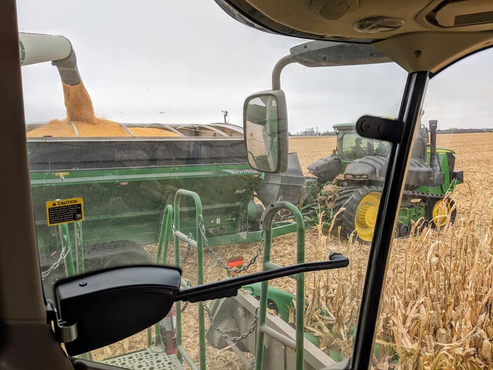 A tractor is loading corn into a combine harvester in a field.