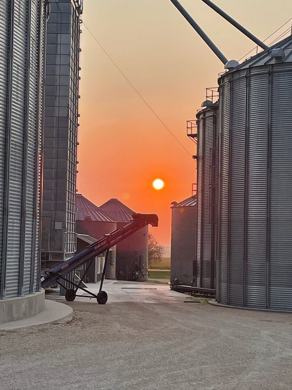 The sun is setting behind a row of silos