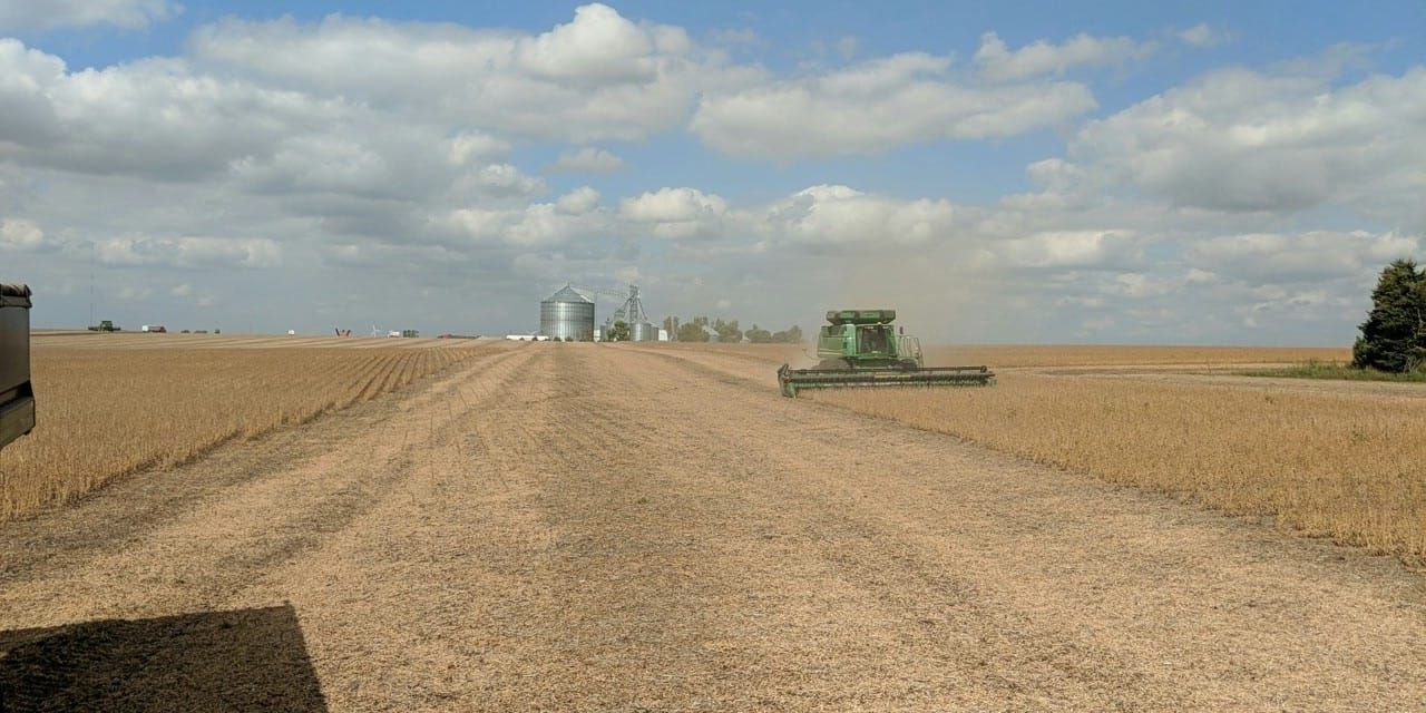 A combine harvester is working in a field of wheat.
