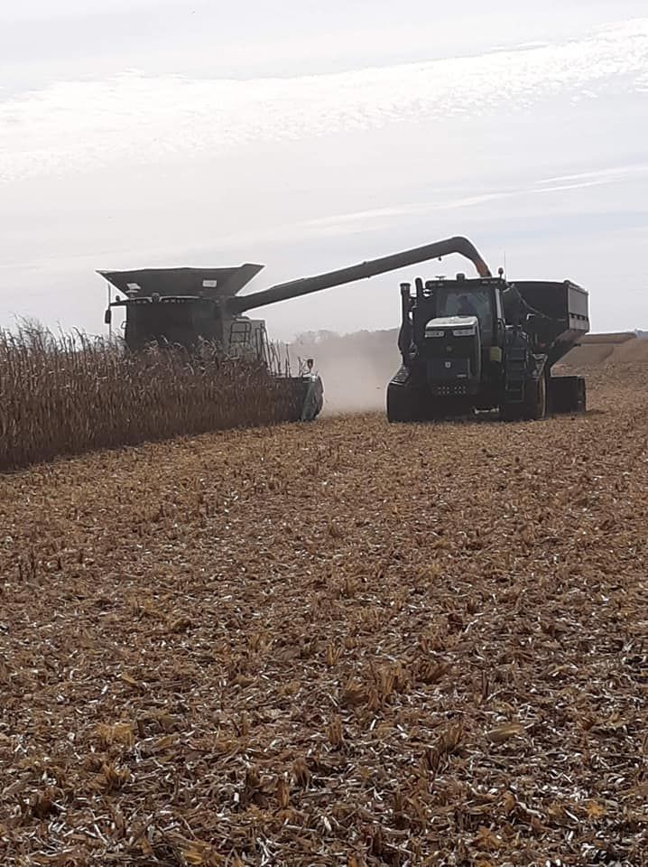 A combine harvester is loading corn into a truck.