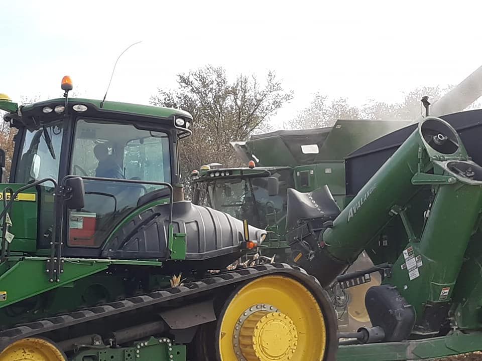 A green tractor is parked next to a black tractor.