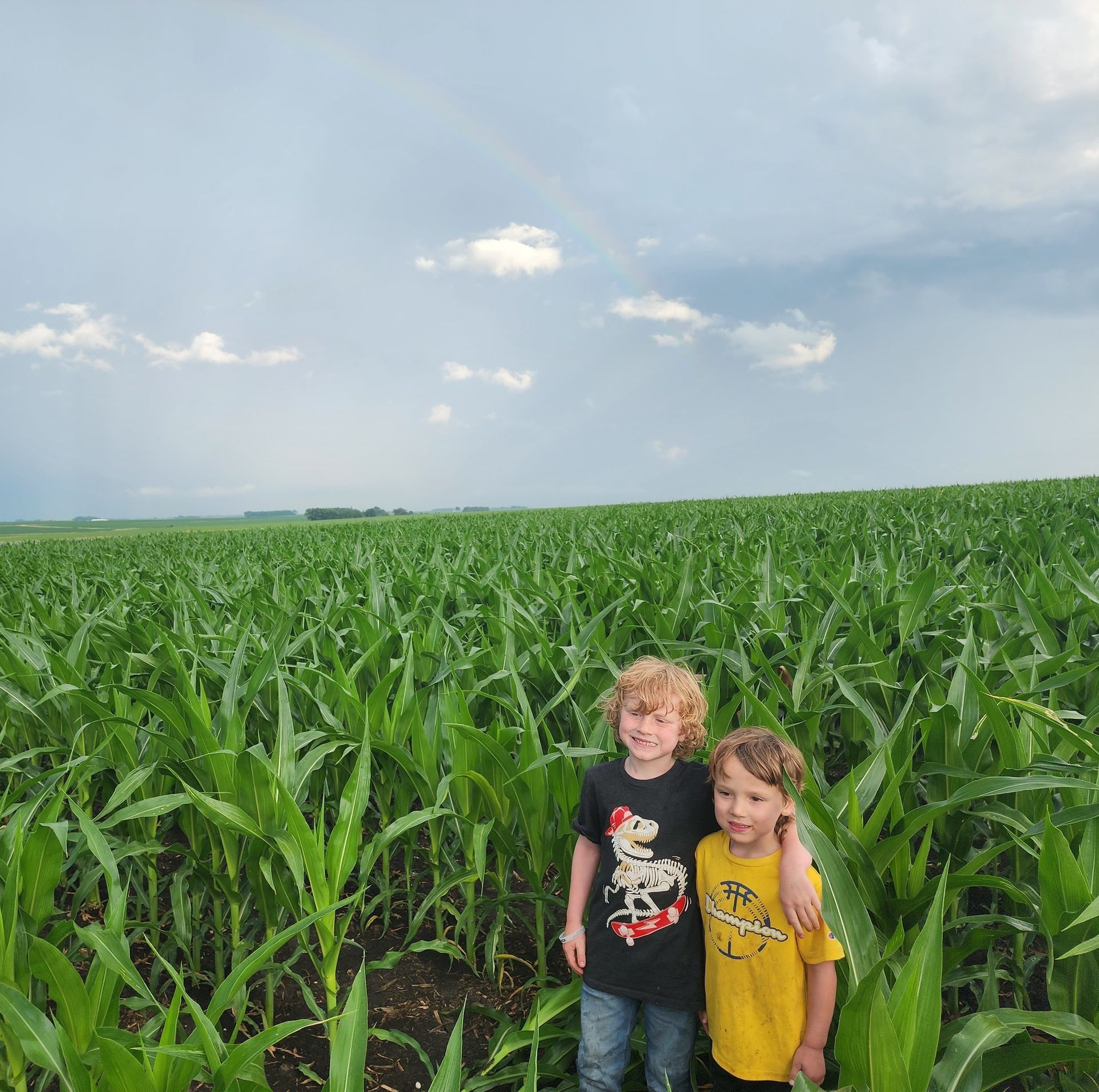 Two young boys are posing for a picture in a corn field