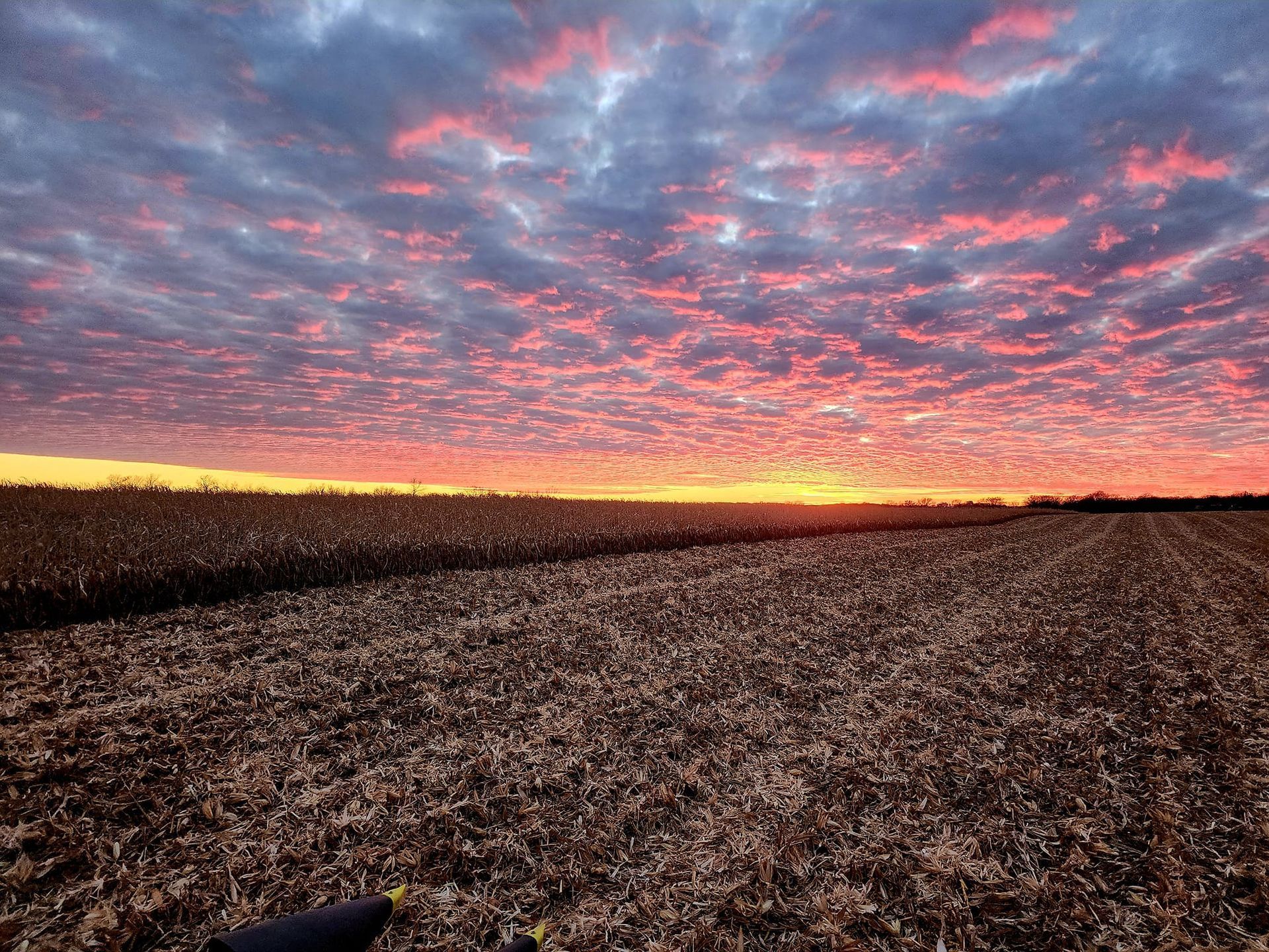 A person is standing in a field at sunset.
