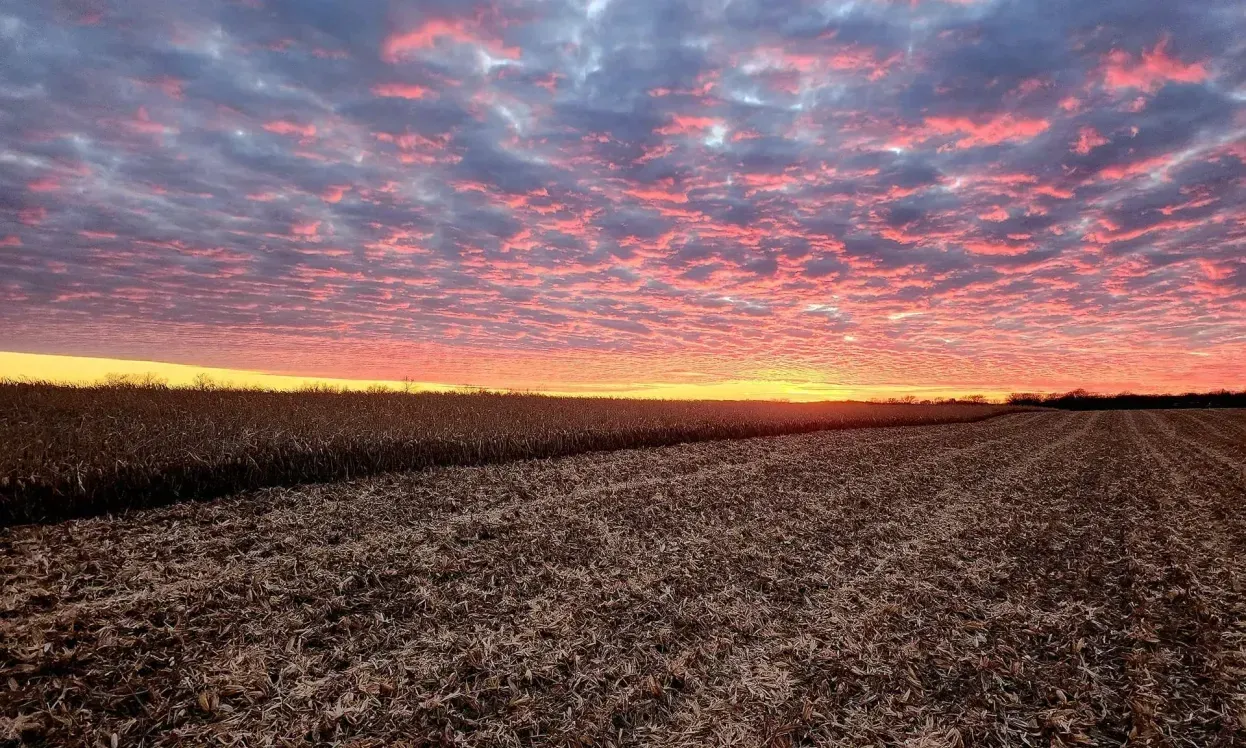 A john deere tractor is plowing a field at sunset