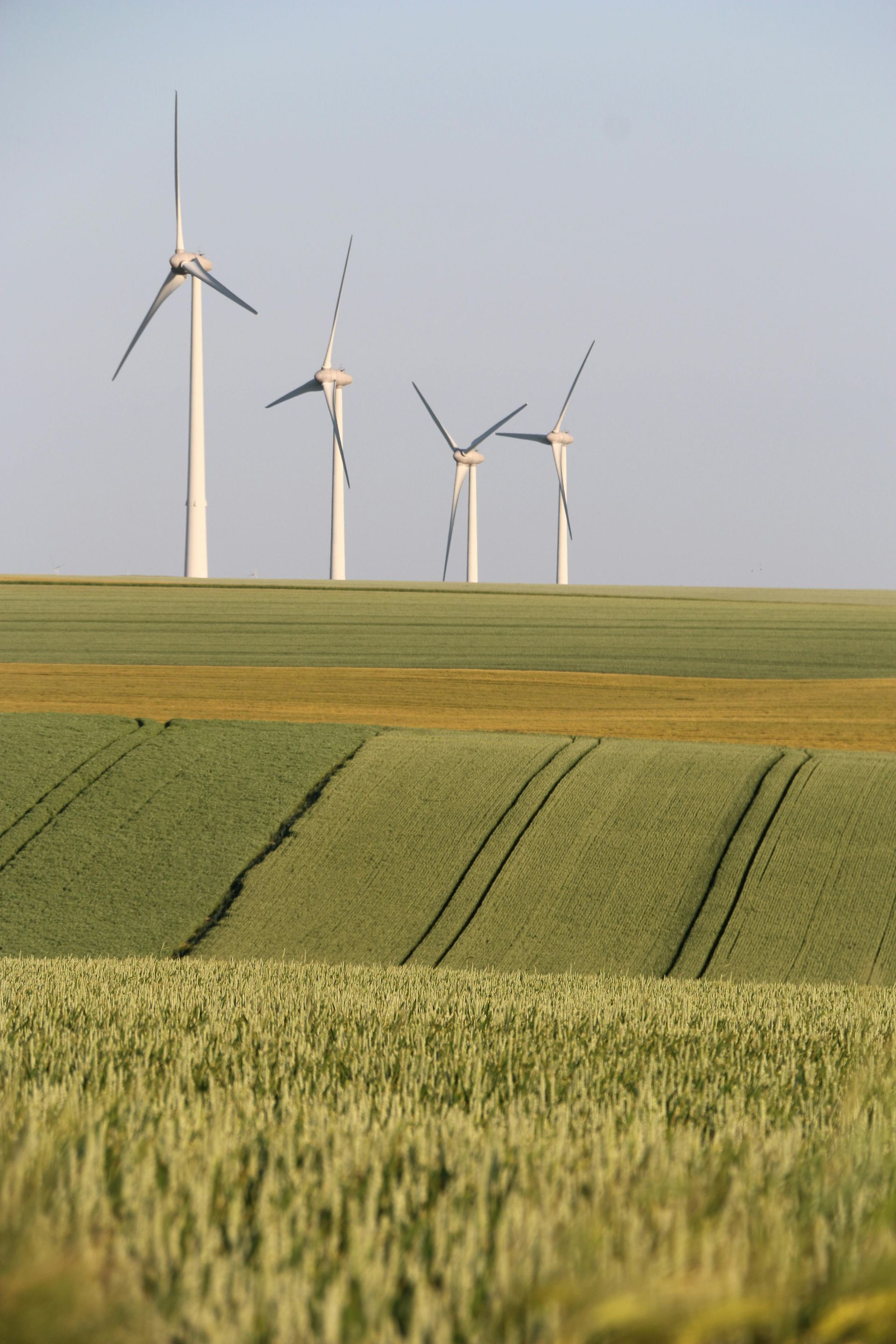 Wind turbines stand tall above rolling green and yellow fields under a blue sky.