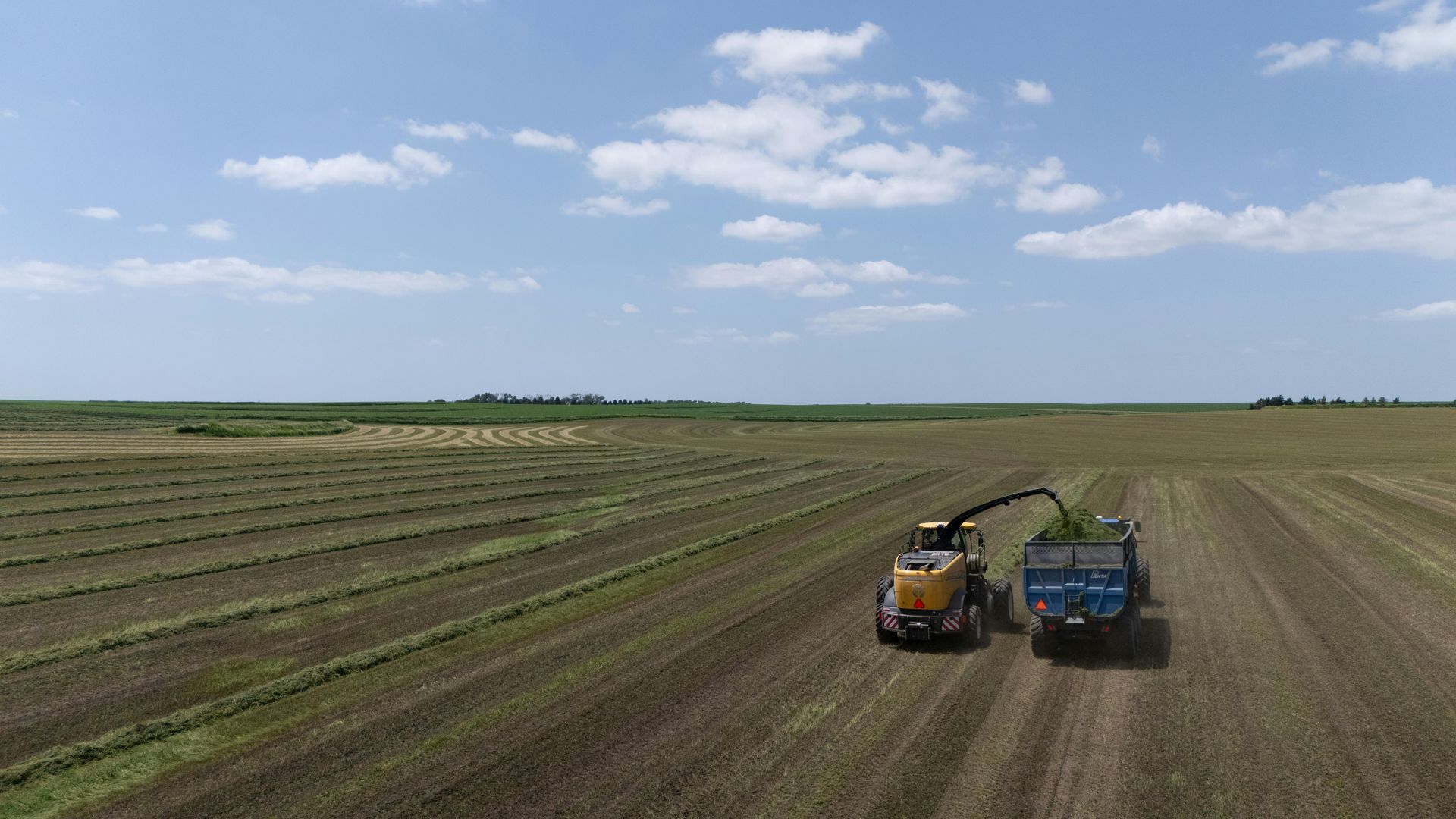 Harvester in field with blue sky, loading a truck.