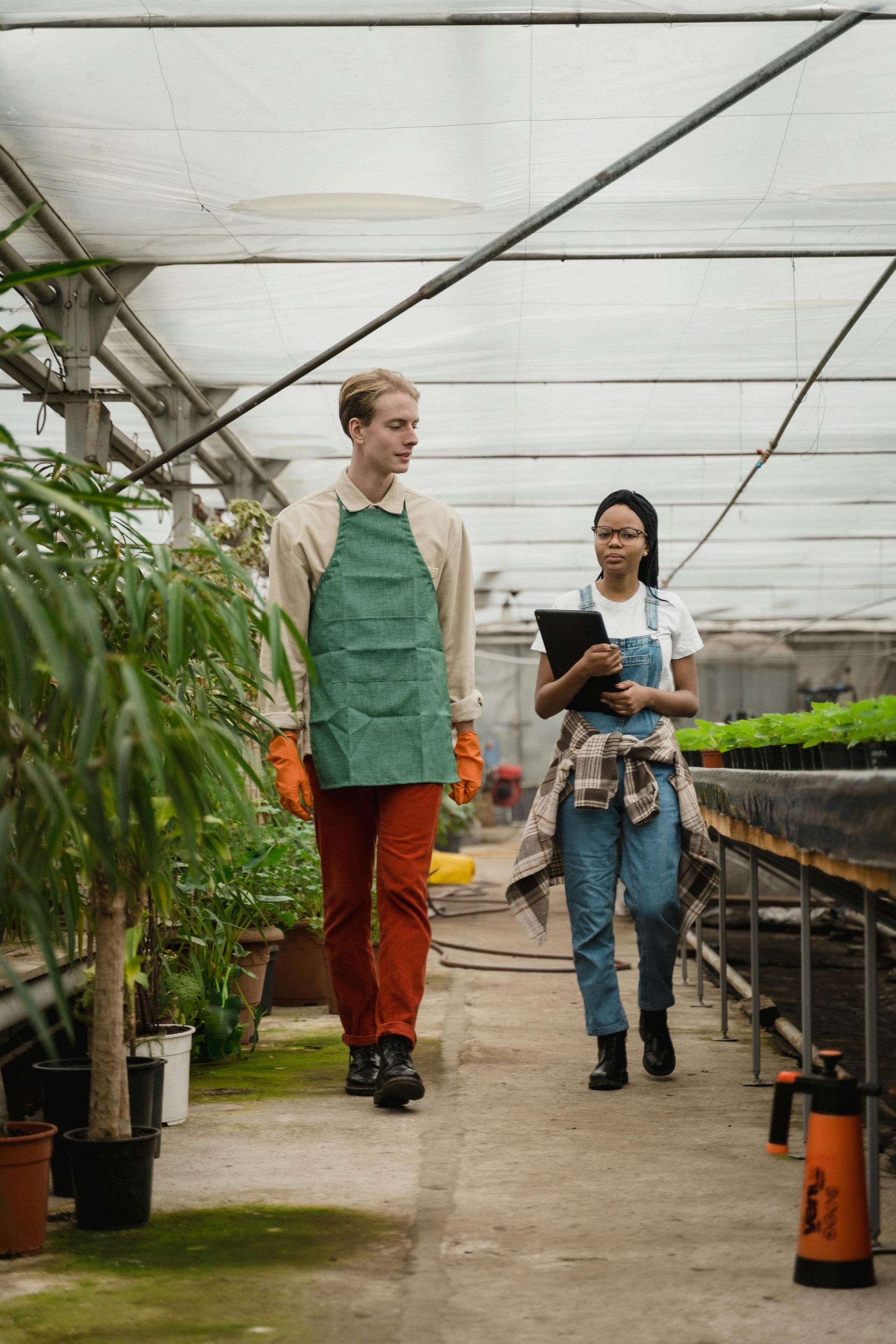 Two people walk in a greenhouse; one wears an apron and the other holds a clipboard, examining plants.