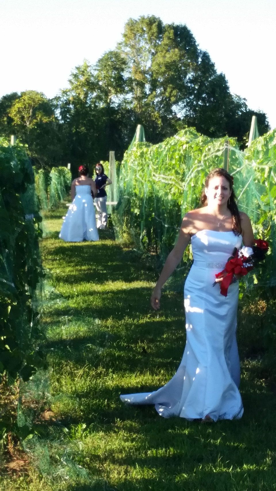Vineyard Weddings 1