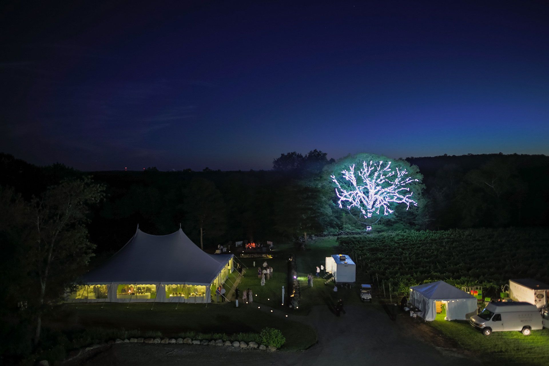 Vineyard Weddings 14