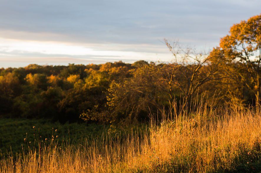 Outdoor Wedding Venue near Norwich, CT | Preston Ridge Vineyard