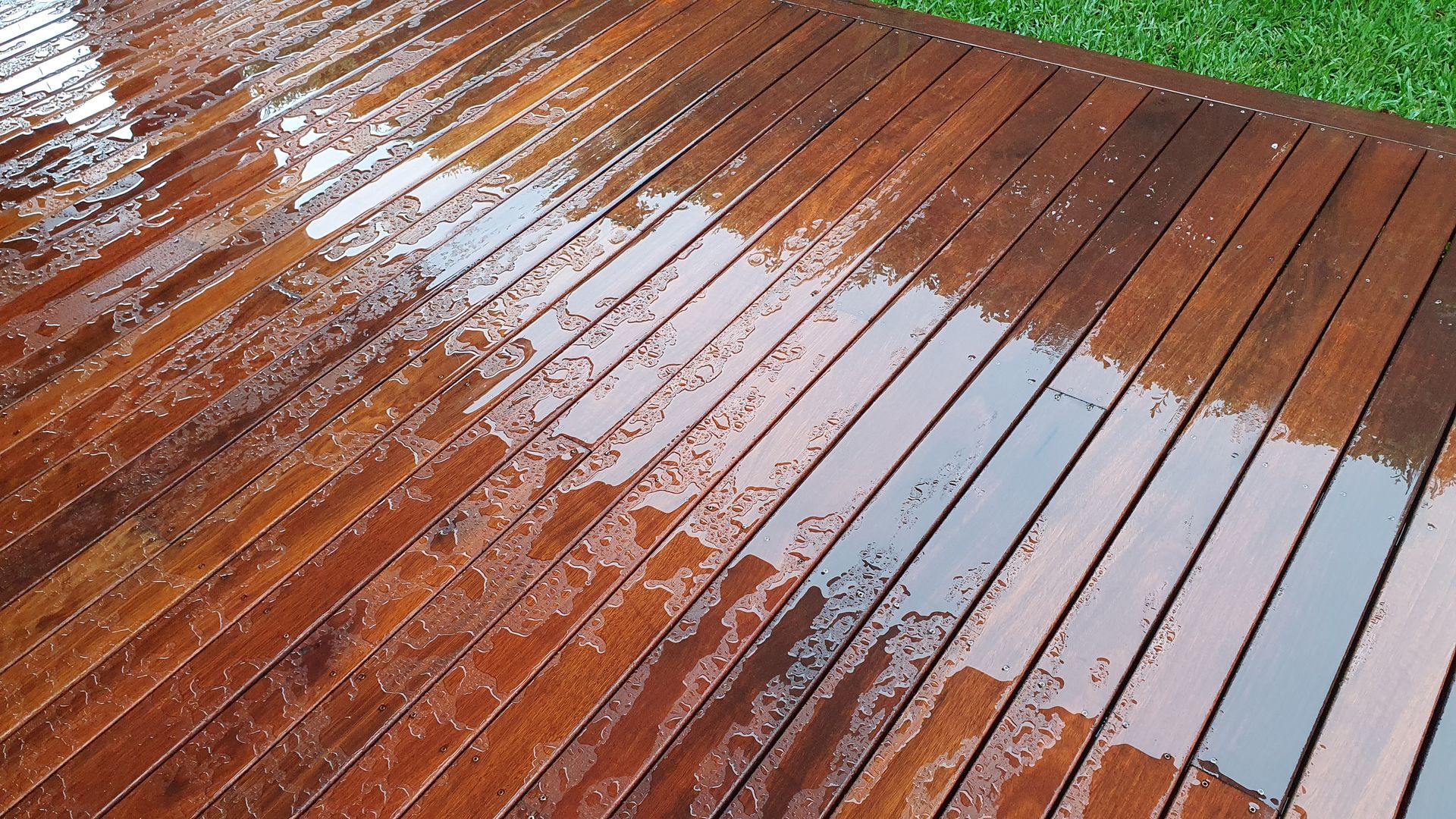 Wet, stained wooden deck with dark brown planks reflecting sunlight. Green grass in the background.
