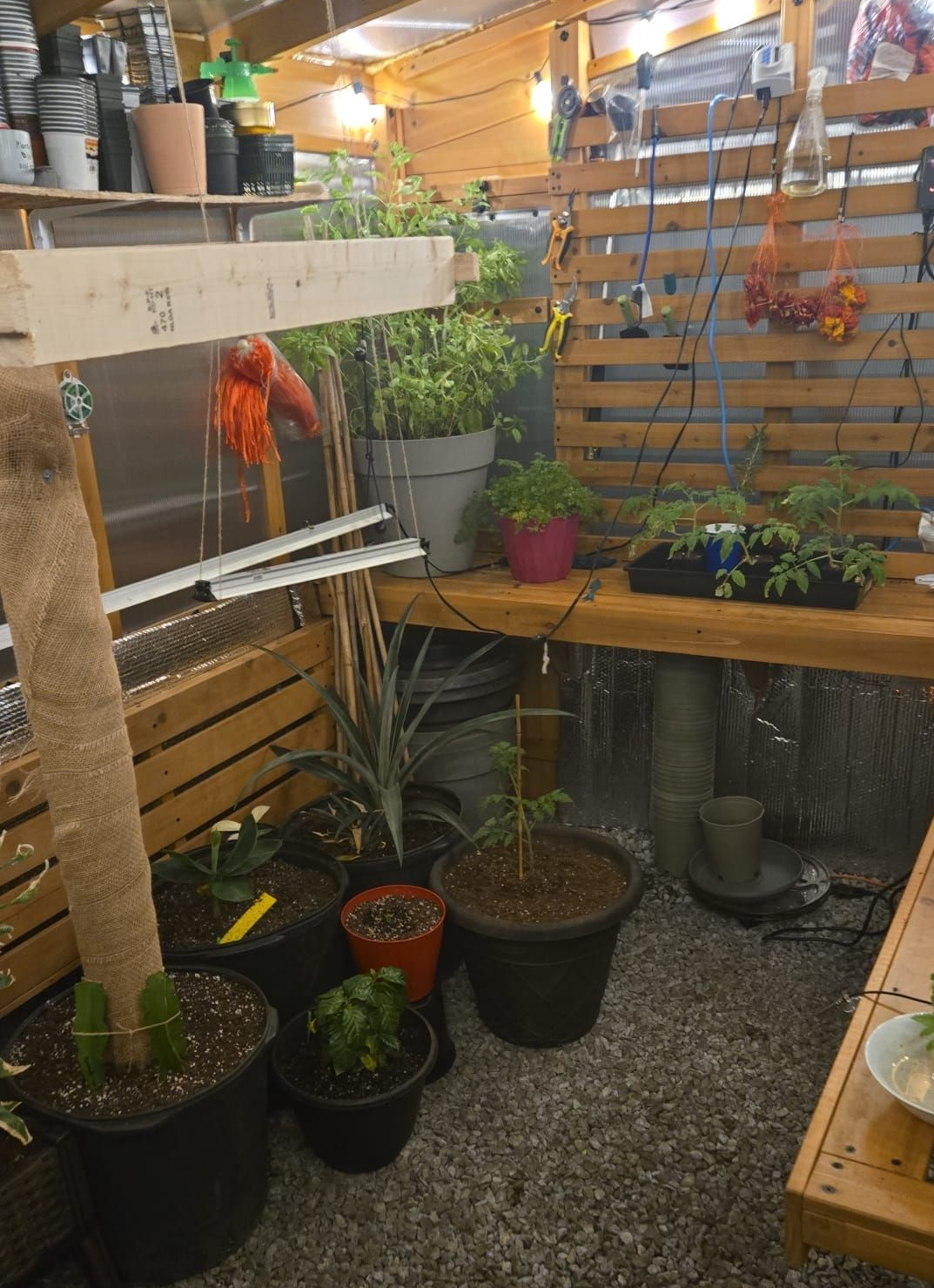 Temperature controlled greenhouse growing plants in Canada