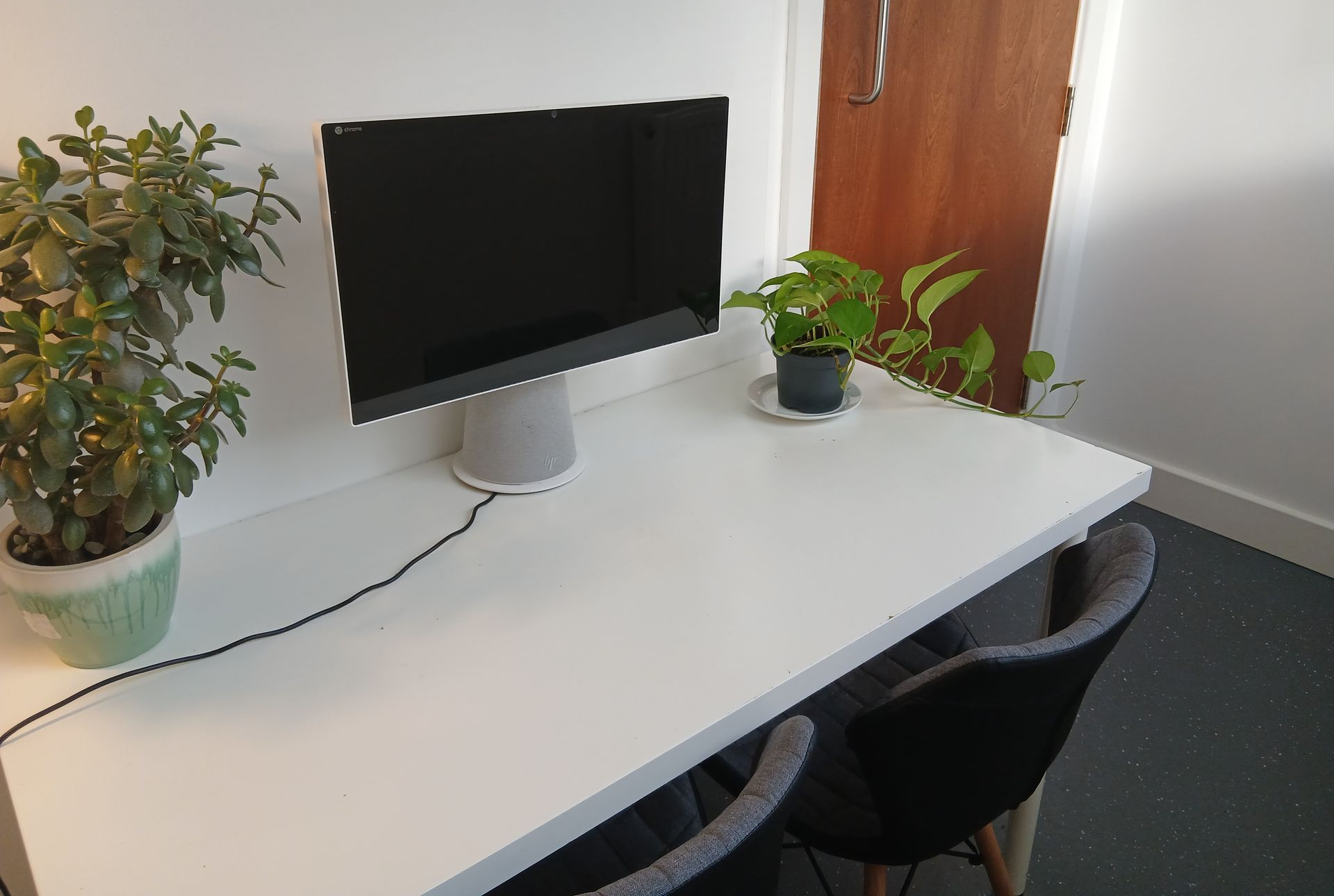 Small meeting room for two people. There is a desk, some plants and a computer screen.