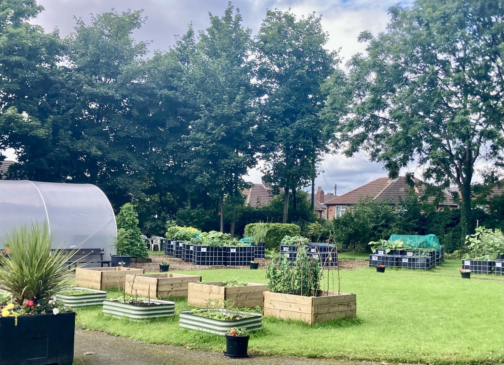The garden has new raised beds that are accessible for older people. There are lots of fruits and vegetables growing. 